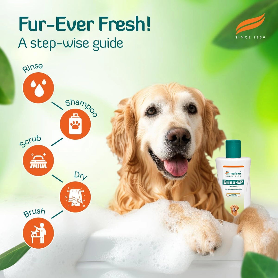 Himalaya Erina Ep Anti Tick & Flea Shampoo - 200 ml