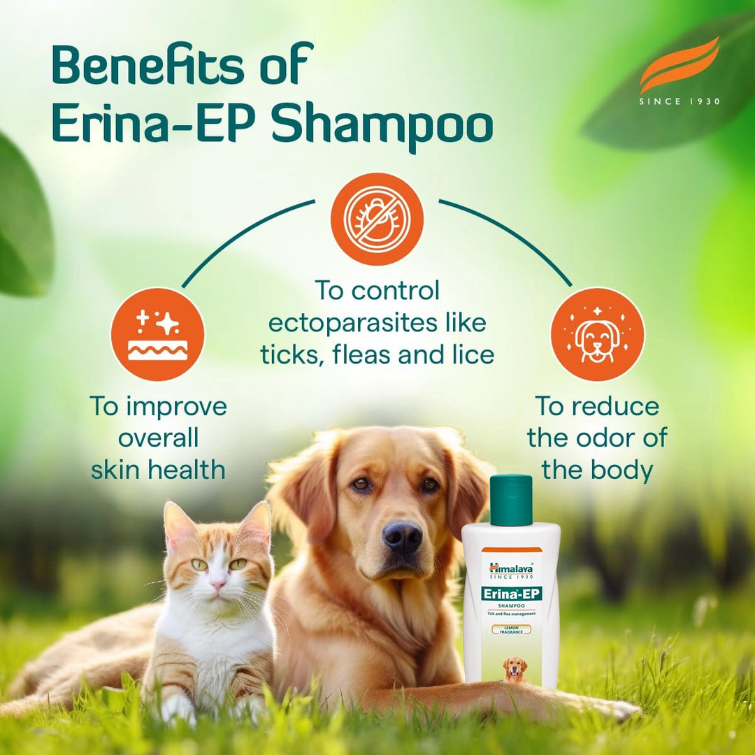 Himalaya Erina Ep Anti Tick & Flea Shampoo - 200 ml