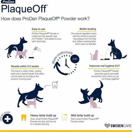 Prodeen Buy Proden Plaqueoff Dental Powder For Dog/Cat - 40 Gm | Zigly