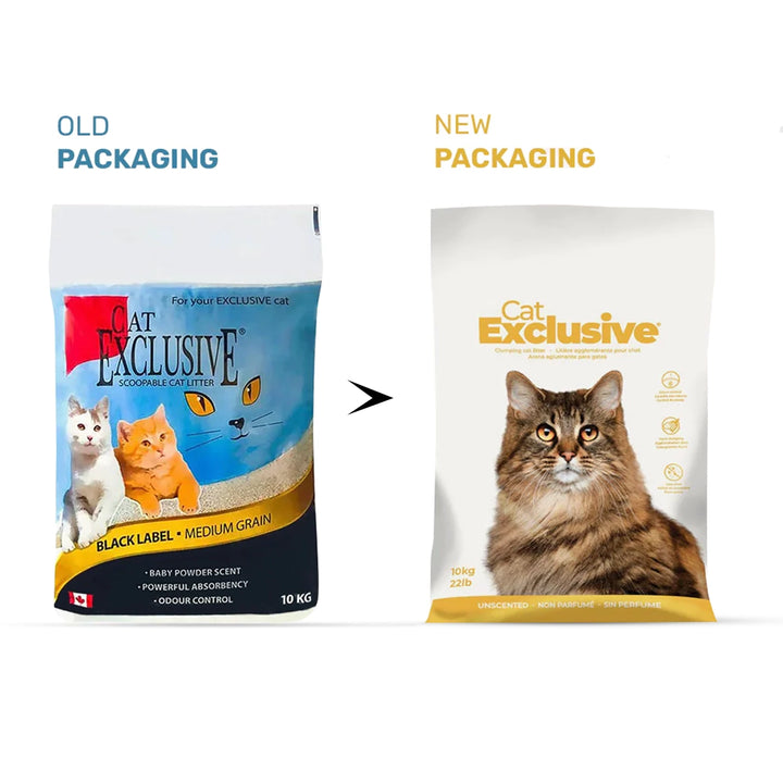 Intersand Cat Exclusive Scoopable Cat Litter - 10 kg 