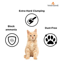 Intersand Cat Exclusive Scoopable Cat Litter - 10 kg 