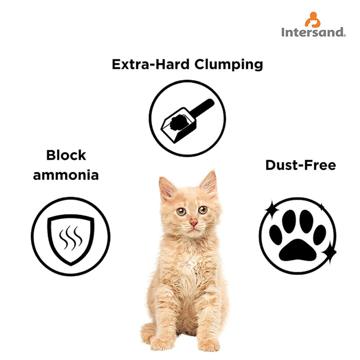 Intersand Cat Exclusive Scoopable Cat Litter - 10 kg 