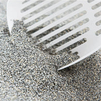 Intersand Cat Exclusive Scoopable Cat Litter - 10 kg 