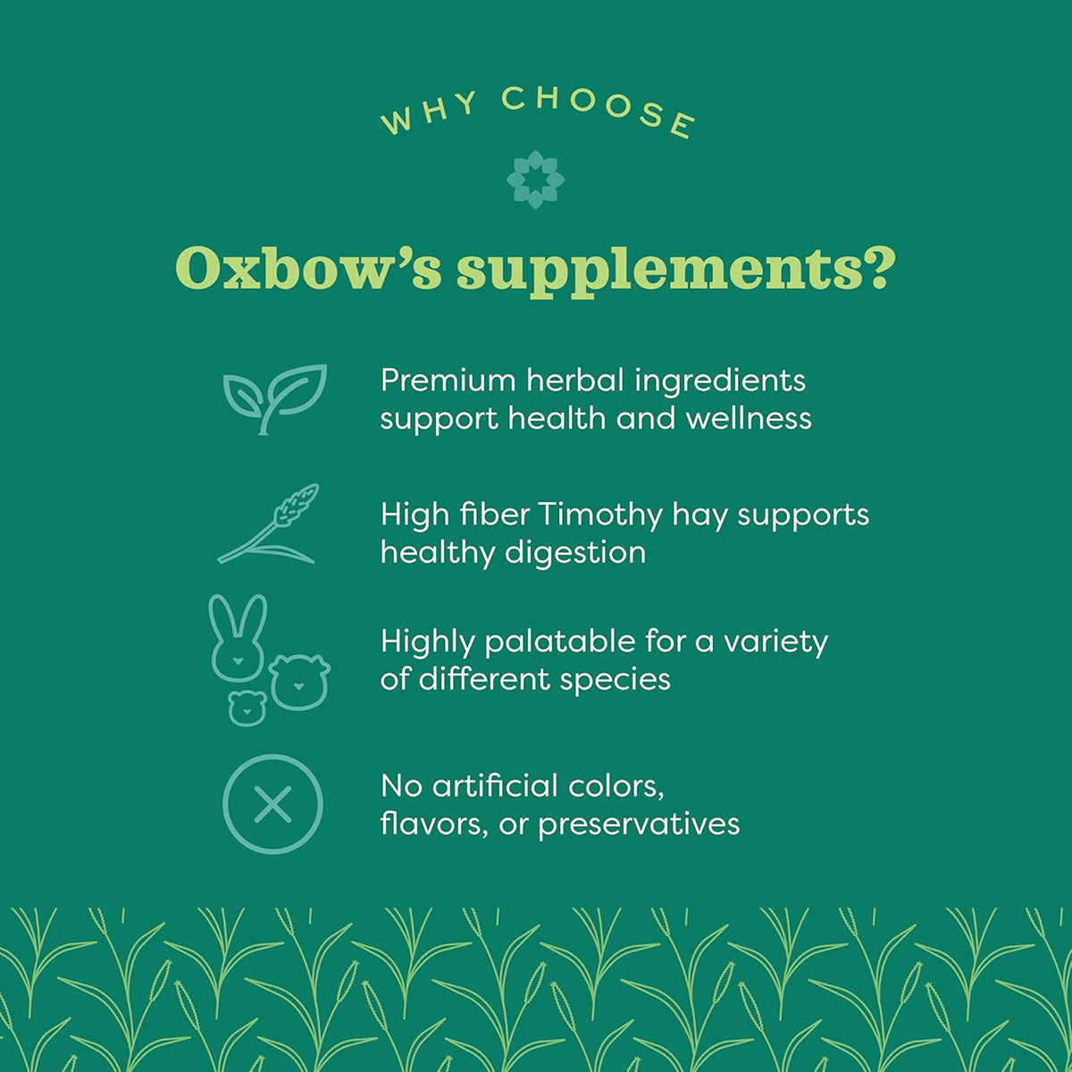 Oxbow Natural Science Digestive Support - 120g