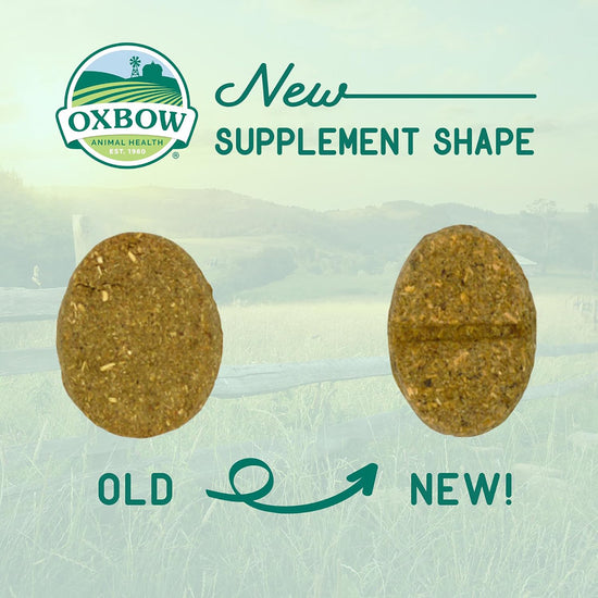 oxbow-natural-science-digestive-support-120g