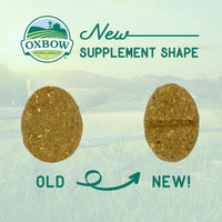 Oxbow Natural Science Digestive Support - 120g