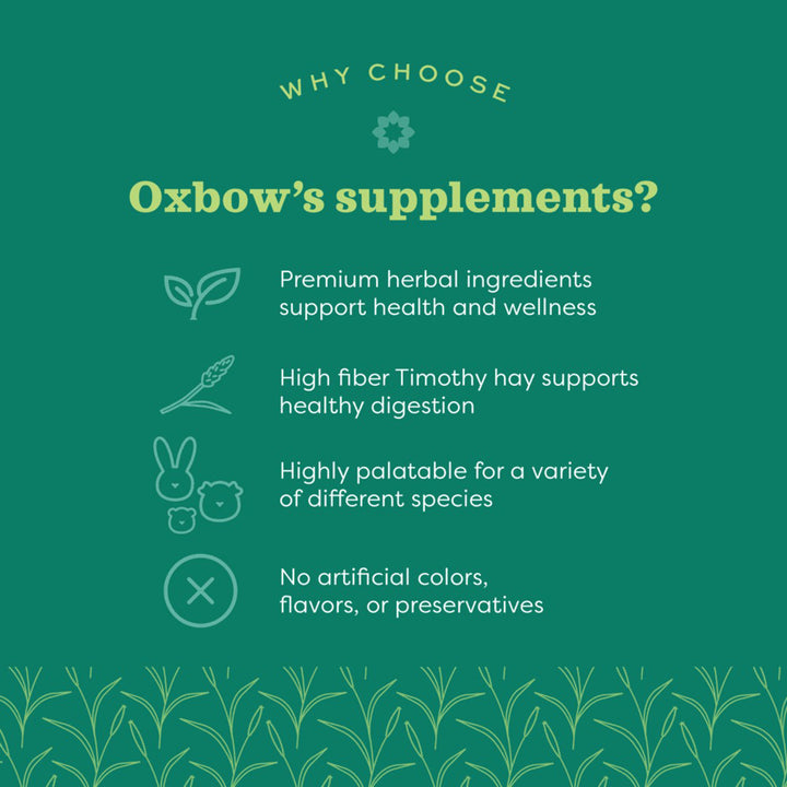 Oxbow Natural Science Skin & Coat Support - 120g