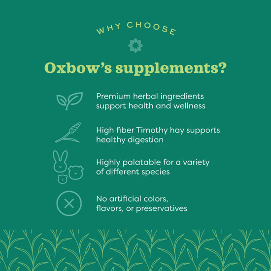 oxbow-natural-science-urinary-support-120g