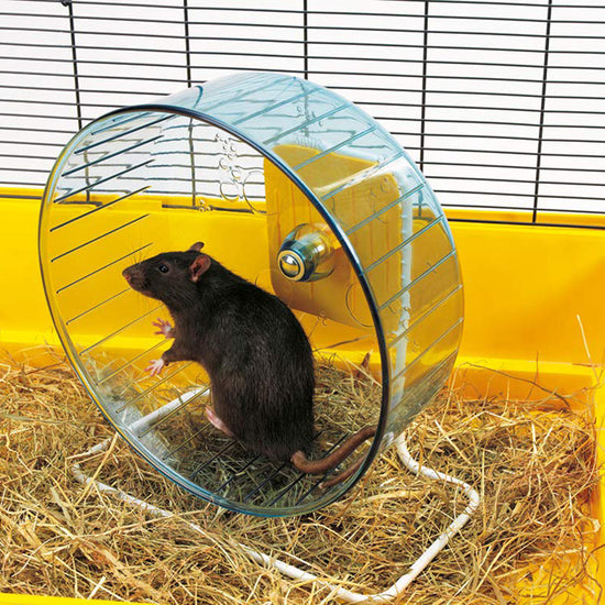 Savic Rolly Giant Wheel with Stand - 26 x 29 x 16cm