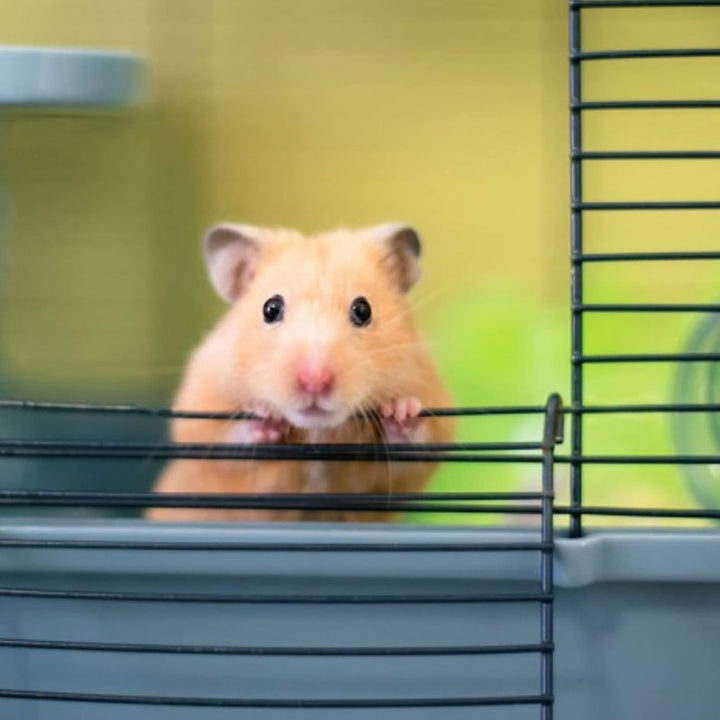 Savic Triple Hamster & Guniea Pigs Cage, 19 x 12 x 14 inch