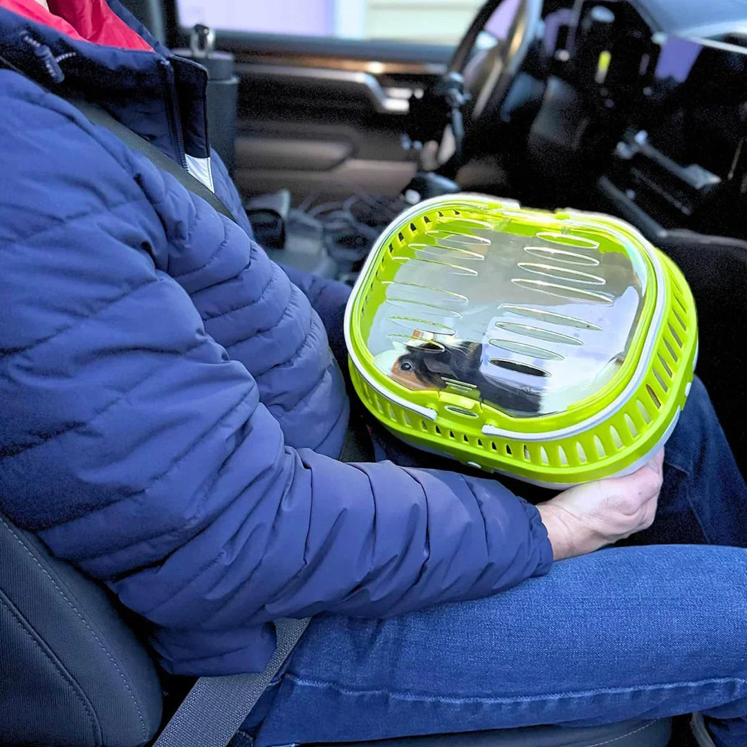 Trixie Pico Transport Box - 30 × 21 × 23cm - Zigly