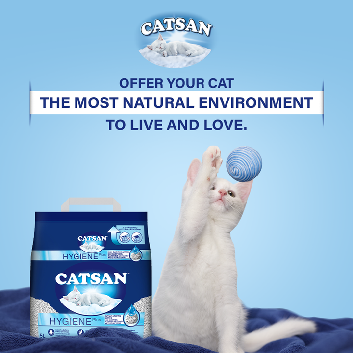 Catsan Hygiene Plus Non-Clumping Natural Cat Litter - 2.4kg