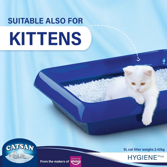 Catsan Hygiene Plus Non-Clumping Natural Cat Litter - 2.4kg - Zigly