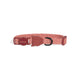 Zee Cat Canyon Collar - Cat