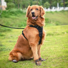 Truelove Water Resistance Dog Shoes With Tpr Sole - Pinecone/Glazed Ginger