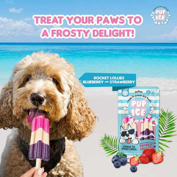 Imaginelles Pup Ice Rocket Lollies Blueberry & Strawberry Dog Treat - 2 Pieces - 90g