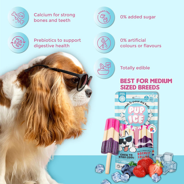 Imaginelles Pup Ice Rocket Lollies Blueberry & Strawberry Dog Treat - 2 Pieces - 90g