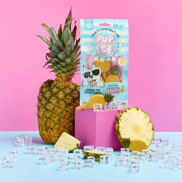 Imaginelles New Pup Ice Fruity Lollies Pineapples Dog Treat - 3 Pieces - 90g
