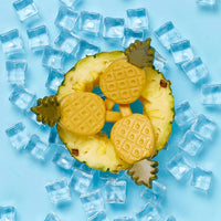 Imaginelles New Pup Ice Fruity Lollies Pineapples Dog Treat - 3 Pieces - 90g
