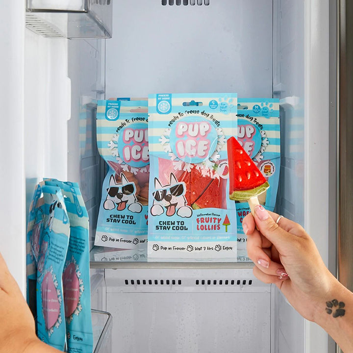 Imaginelles Pup Ice Fruity Lollies Watermelon Dog Treat - 3 Pieces - 90g
