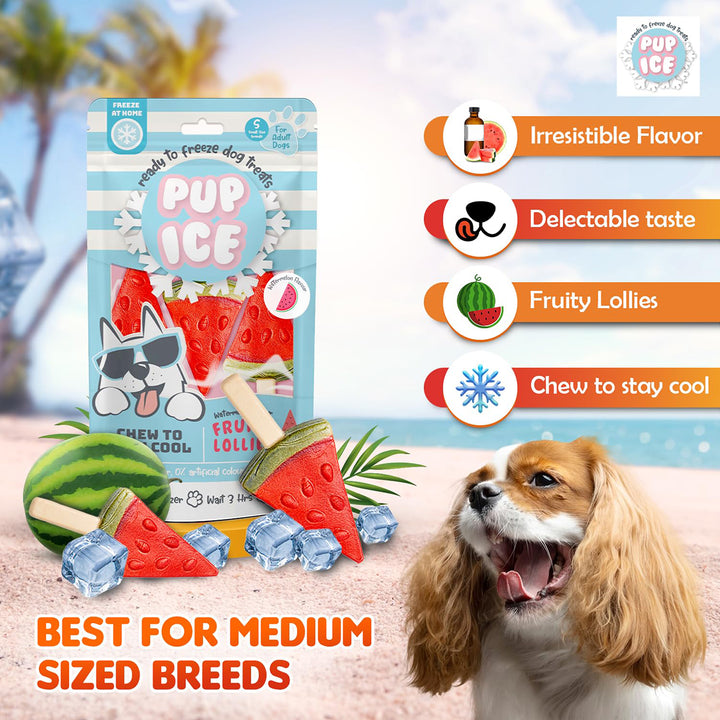 Imaginelles Pup Ice Fruity Lollies Watermelon Dog Treat - 3 Pieces - 90g
