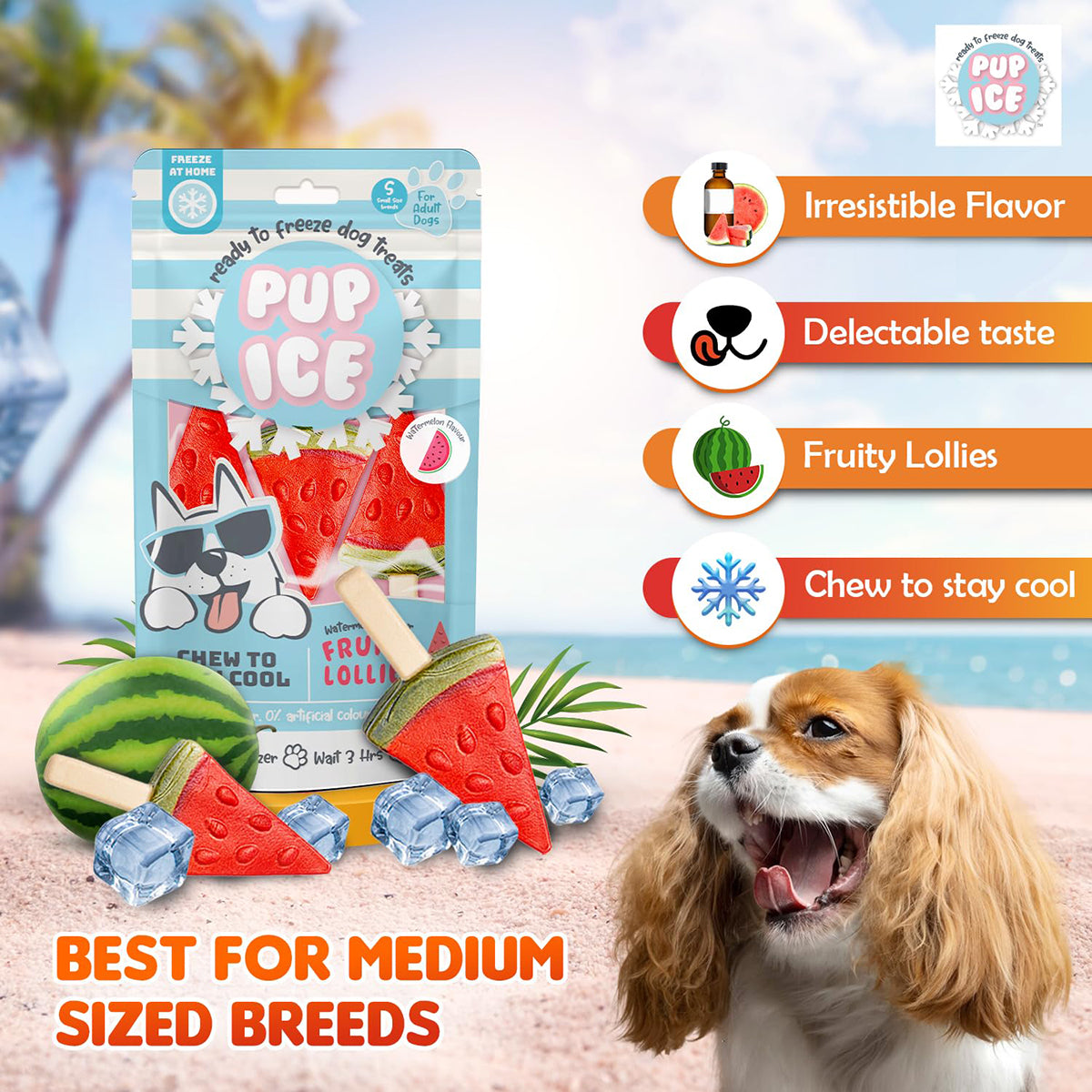 Imaginelles Pup Ice Fruity Lollies Watermelon Dog Treat - 3 Pieces - 90g