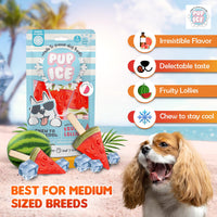 Imaginelles Pup Ice Fruity Lollies Watermelon Dog Treat - 3 Pieces - 90g