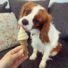 Imaginelles Pup Ice Waffle Cones Vanilla & Peanut Butter Dog Treat, 2 Pieces - 110g - Zigly