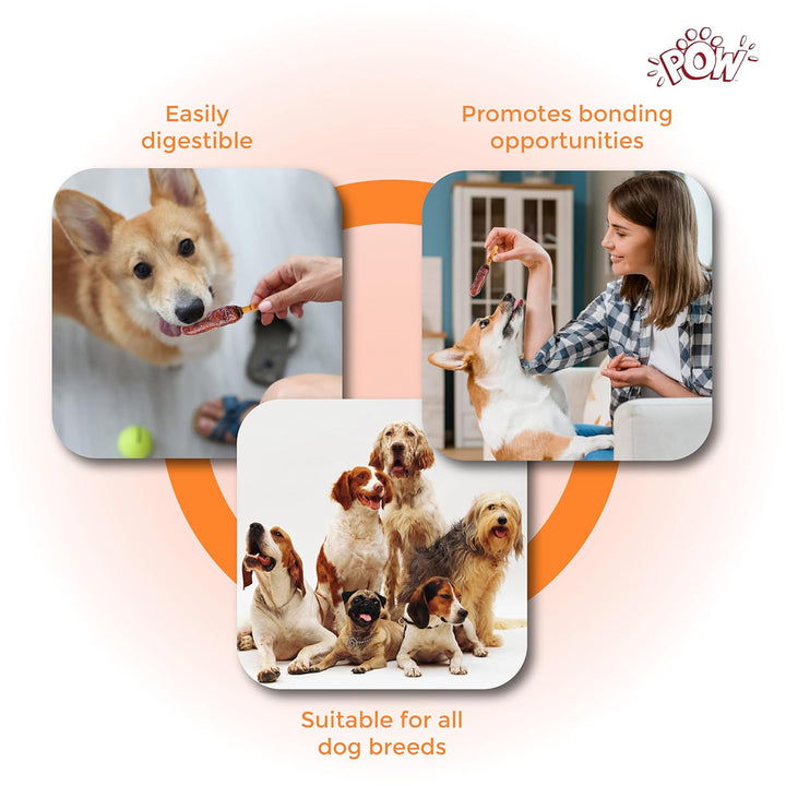 Imaginelles Pow Grillers Kebabs Meaty Dog Treat - 5 Pieces - 115g