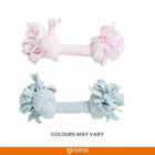 Fofos Terry Rope 2Knots Puppy Toy - Zigly