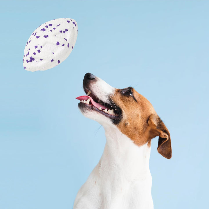 Fofos ETPU Rugby Ball Fetch Dog Toy -White