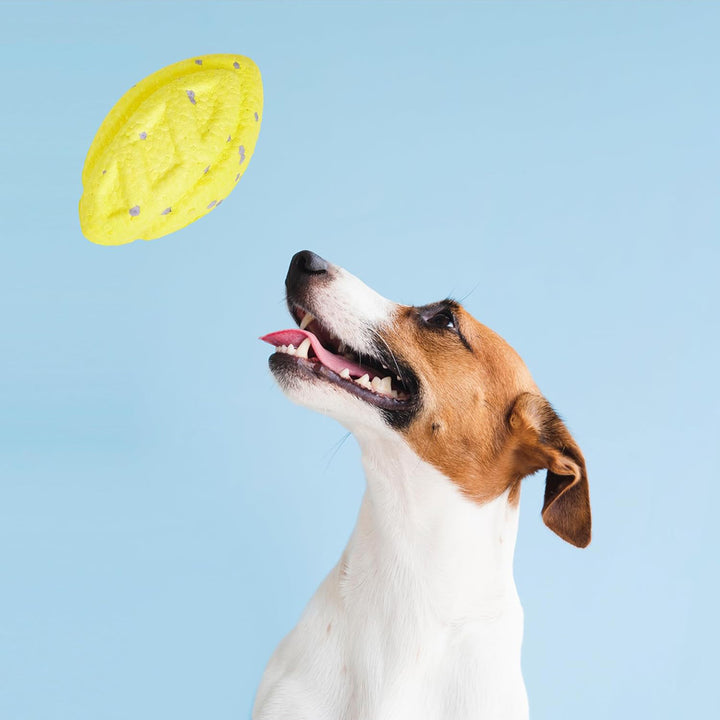 Fofos ETPU Rugby Ball Fetch Dog Toy -Yellow