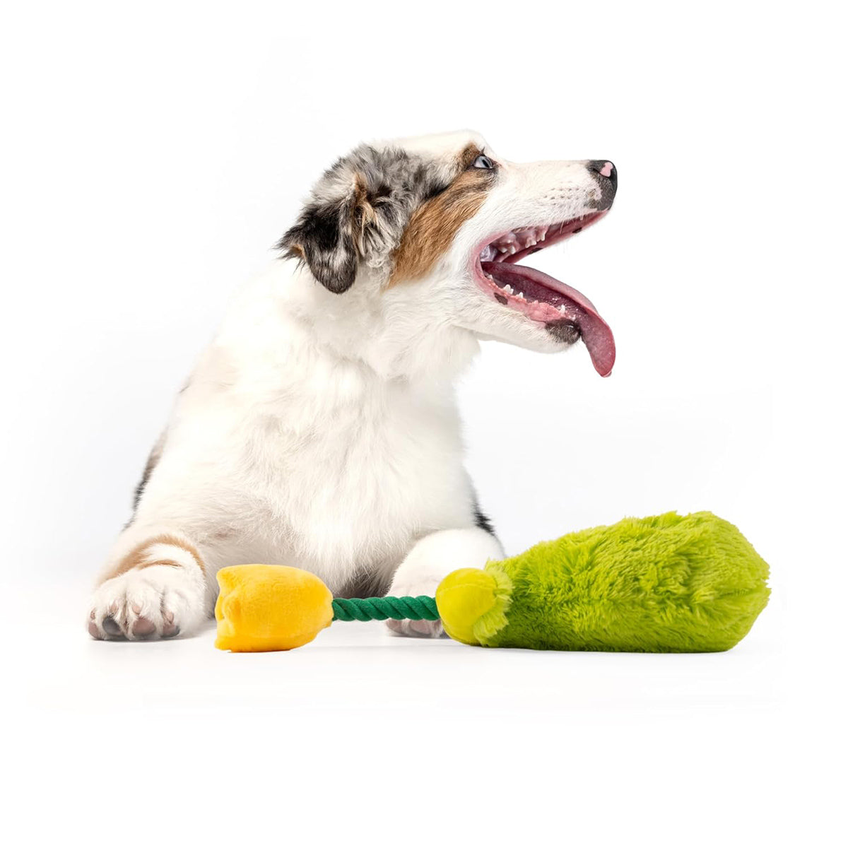 Fofos Garden Tulip Plush Dog Toy