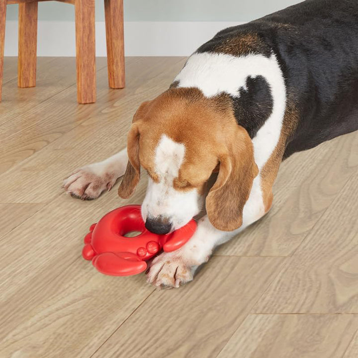Fofos Ocean Animal Chewing Squeaky Crab Dog Toy