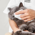 Fofos Pet Cleaning Wipes Lavender Scented - Zigly