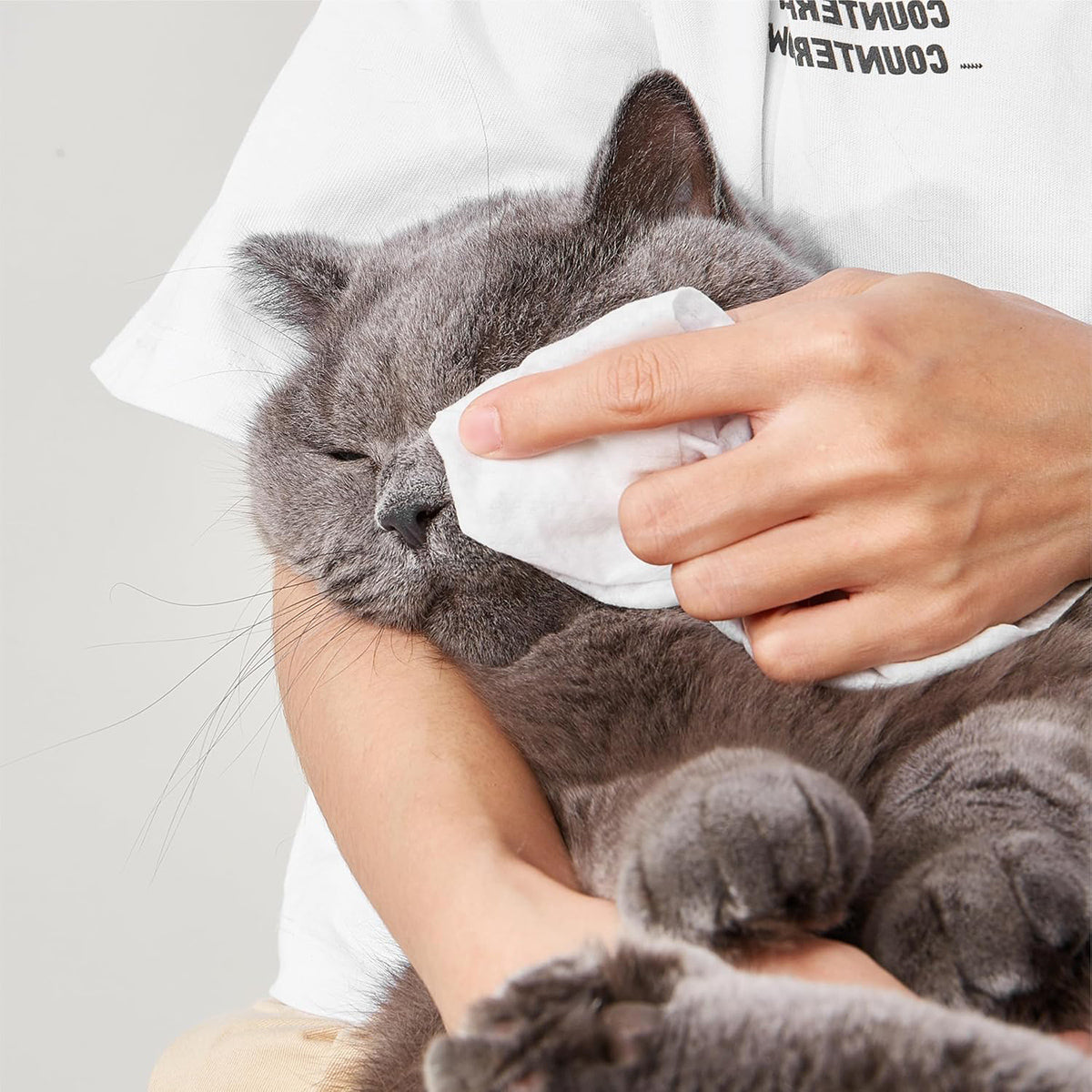 Pack of Fofos lavender scented pet cleaning wipes