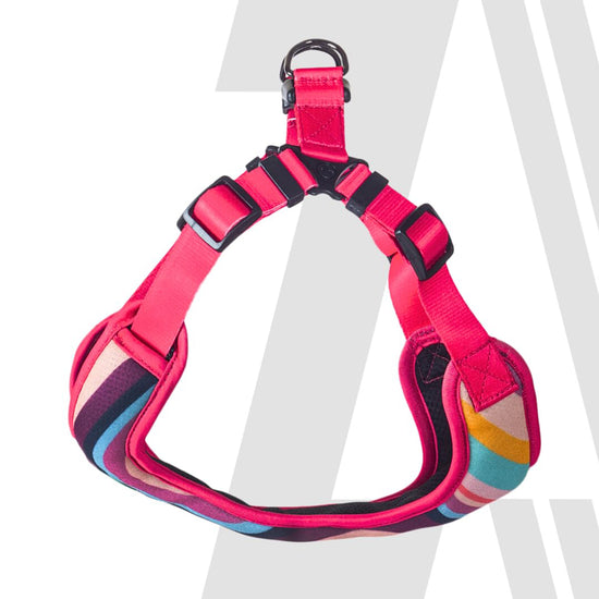 zoomiez-adjustable-step-in-mesh-dog-harness-swirl