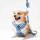Furry&Co No Pull Harness for Dogs - Cool Camo