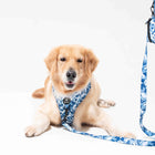 Furry&Co No Pull Harness for Dogs - Cool Camo