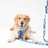Furry&Co No Pull Harness for Dogs - Cool Camo