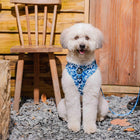 Furry&Co No Pull Harness for Dogs - Cool Camo