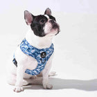 Furry&Co No Pull Harness for Dogs - Cool Camo