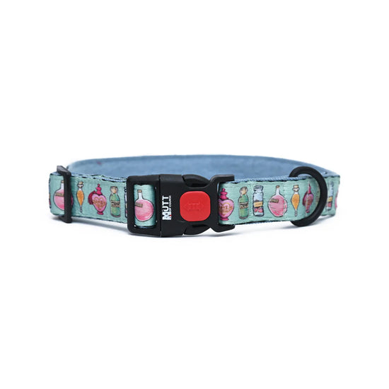 harry-potter-collar-potions-in-motions-dog-collar