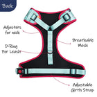 Harry Potter Potions in Motions Cat & Dog Harness