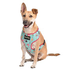 Harry Potter Potions in Motions Cat & Dog Harness