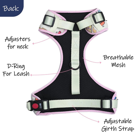 Harry Potter Every Flavour Bean Dog Harness