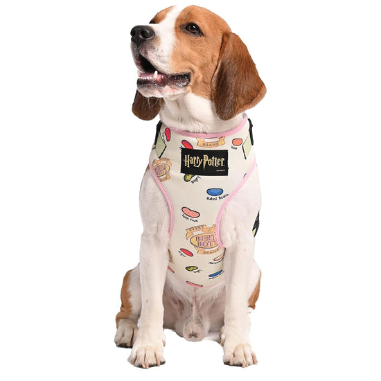 Harry Potter Every Flavour Bean Dog Harness