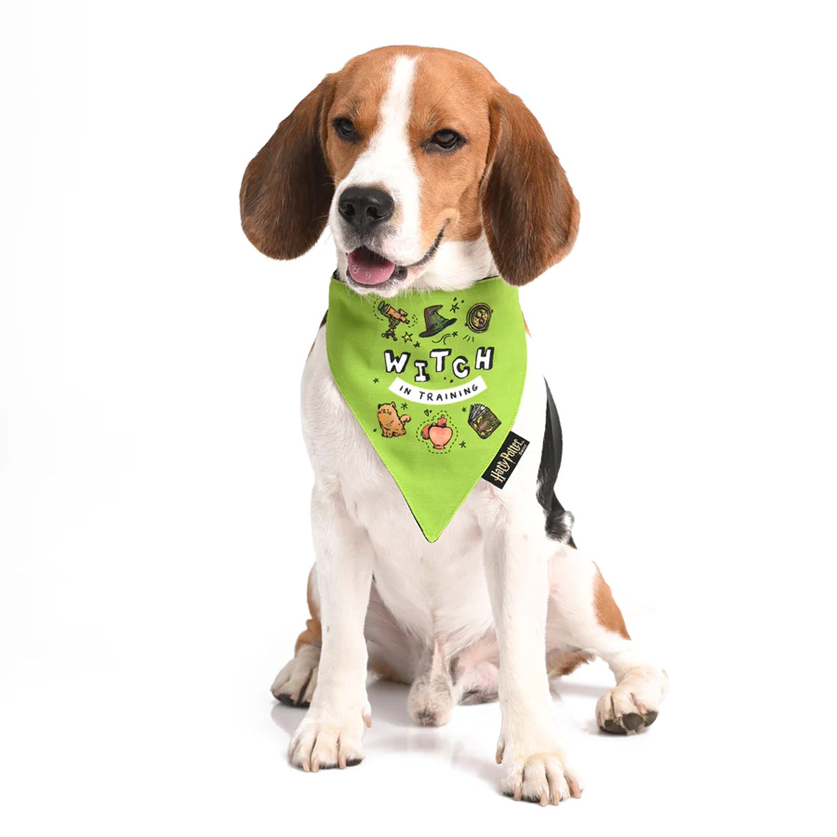 Harry Potter Dog Bandana - Woofy Witch