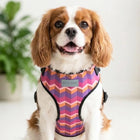Mutt Of Course Chest Harness for Dogs - Geometrical Dark