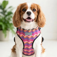 Mutt Of Course Chest Harness for Dogs - Geometrical Dark